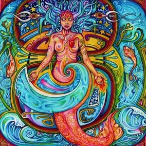 Meet your Posher, Paula